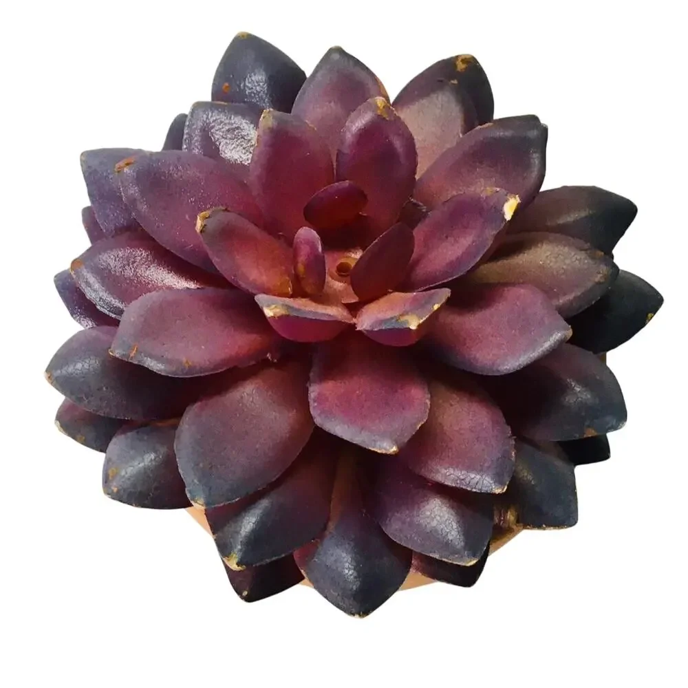 Artificial succulent in a pot